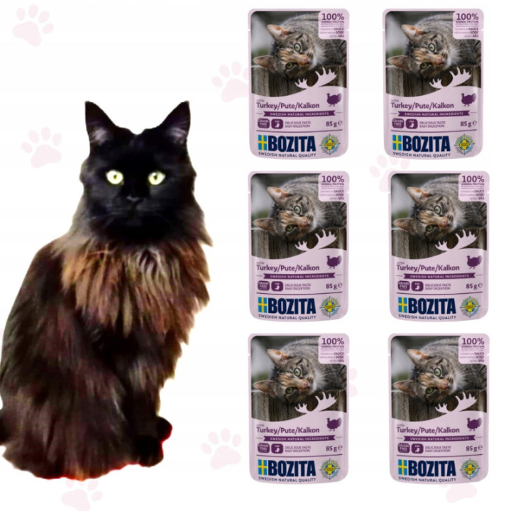 Karma Bozita Kot Saszetka Indyk w sosie 85g smakowita karma 6 szt.