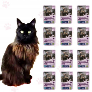 Karma Bozita Kot Saszetka Indyk w sosie 85g naturalna karma 12 szt.