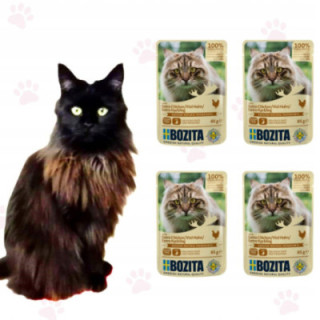 Bozita Cat mokra karma dla kota Kurczak w sosie saszetka 85g 4 szt