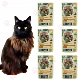 Bozita Cat mokra karma dla kota Kurczak w sosie saszetka 85g 6 szt