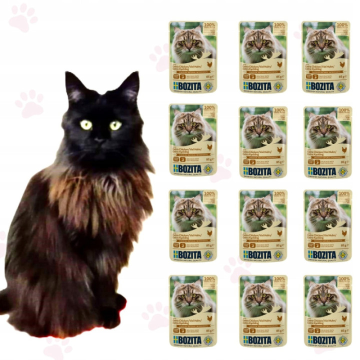 Bozita Cat mokra karma dla kota Kurczak w sosie saszetka 85g 12 szt