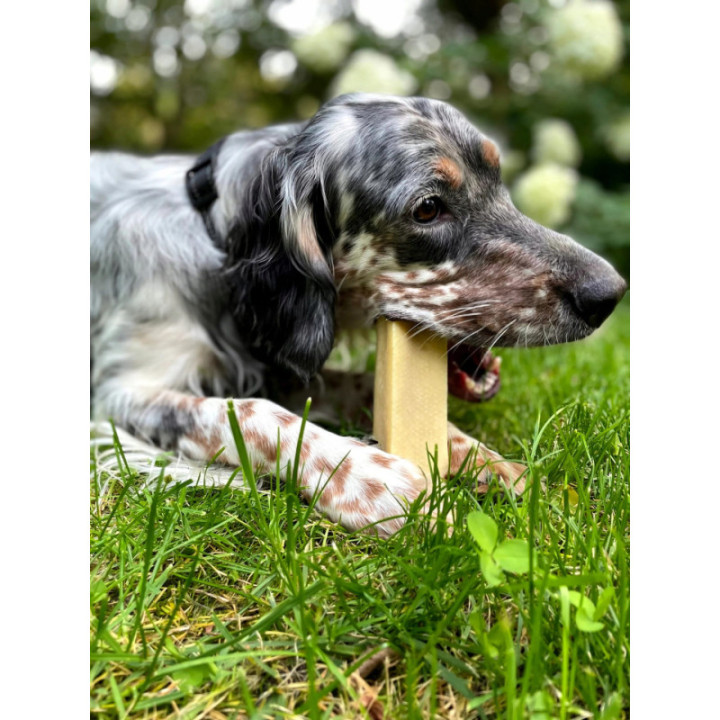 ZOLUX Ser himalajski gryzak M 57g naturalny przysmak dla psa małych ras