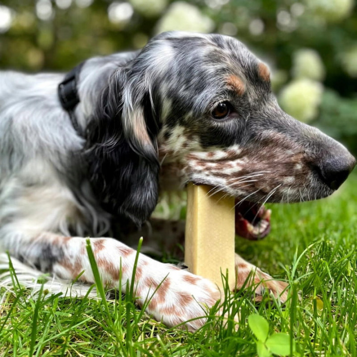 ZOLUX Ser himalajski gryzak M 57g naturalny przysmak dla psa małych ras