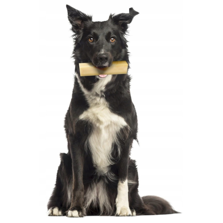 ZOLUX Ser himalajski Giant 151g gryzak naturalny dla psa higiena zębów