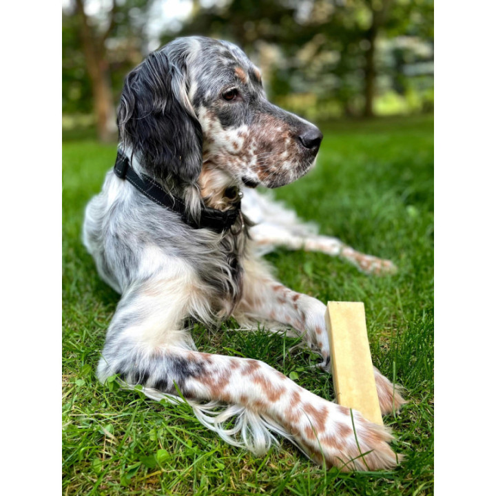 ZOLUX Ser himalajski Giant 151g gryzak naturalny dla psa higiena zębów