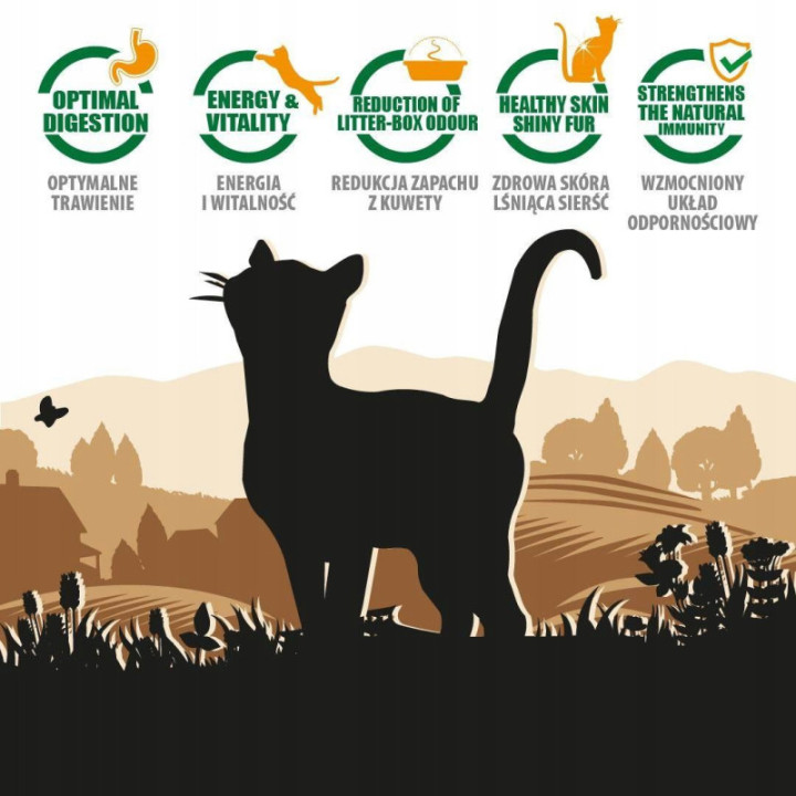 Karma sucha dla kota PUPIL Premium bogata w kaczkę 1,6 kg