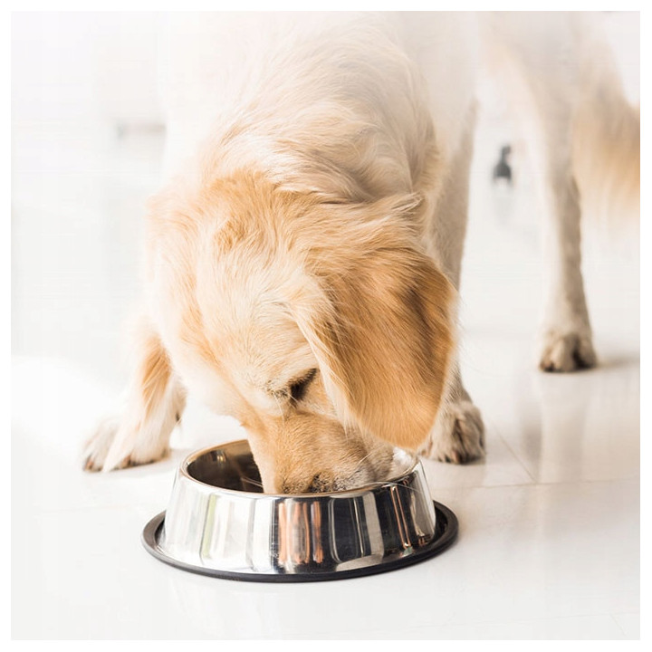 Inaba Dog Churu Rolls Kurczak 8x12g