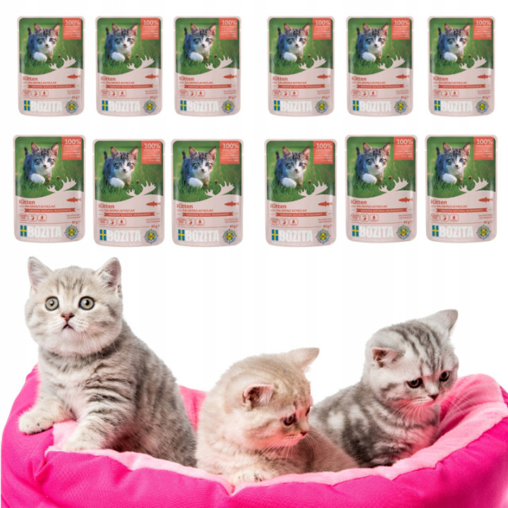 Bozita Kitten w Sosie z Łososiem 85g Bezzbożowa Karma dla Kociąt 12 szt.