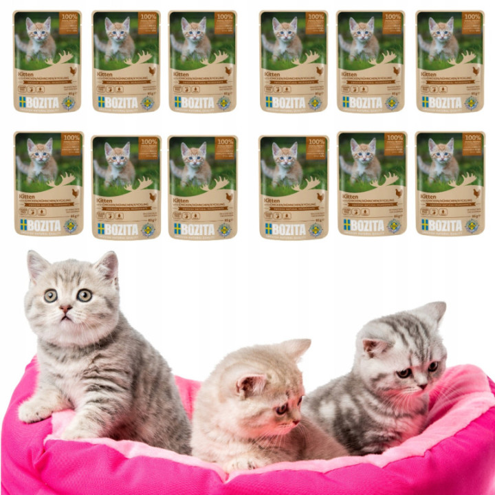 Bozita karma mokra dla kociąt i kotek karm Kitten Kurczak w sosie 85g